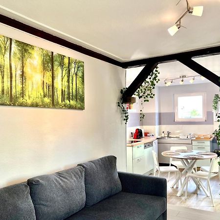 Seppala Charmant Appartement Колмар Екстериор снимка