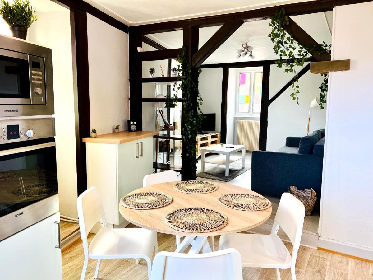 Seppala Charmant Appartement Колмар Екстериор снимка