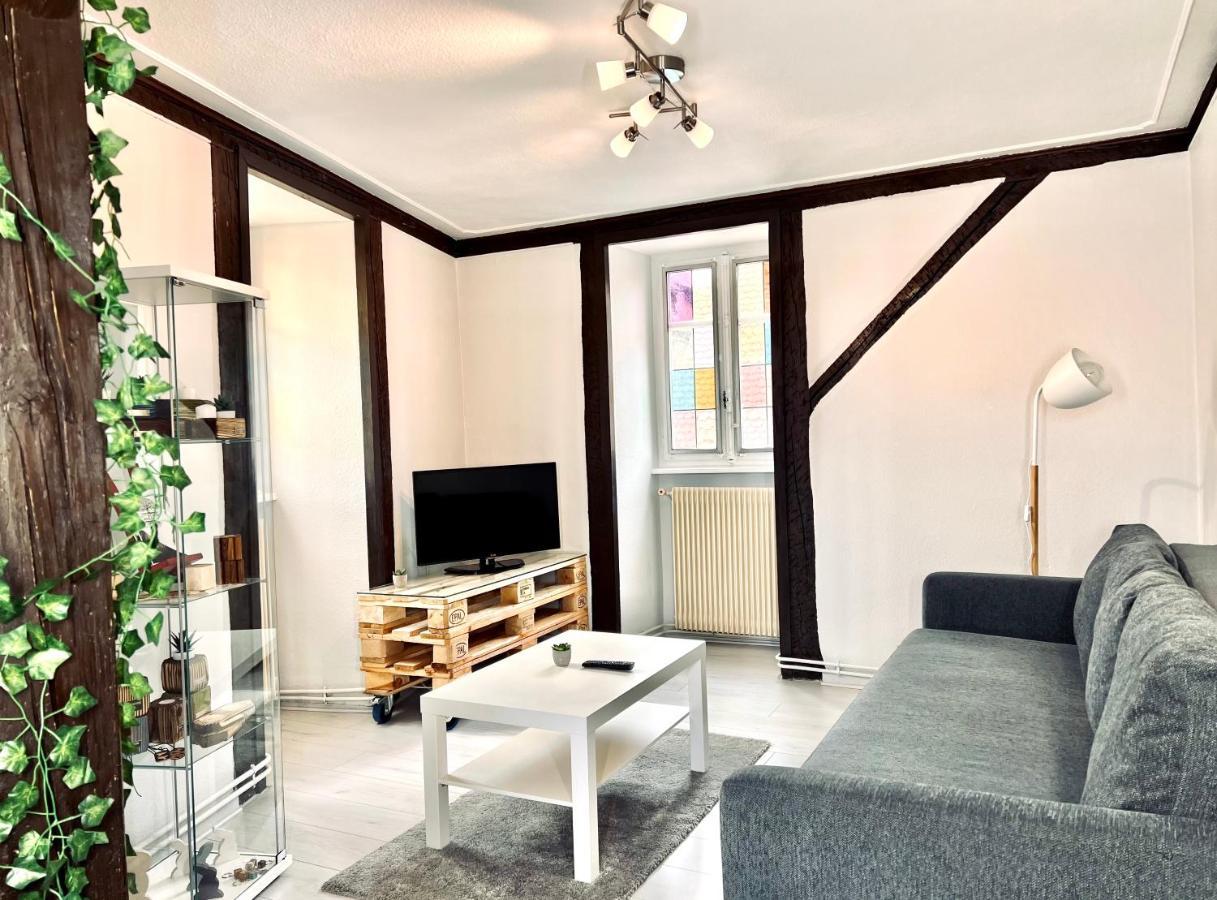Seppala Charmant Appartement Колмар Екстериор снимка