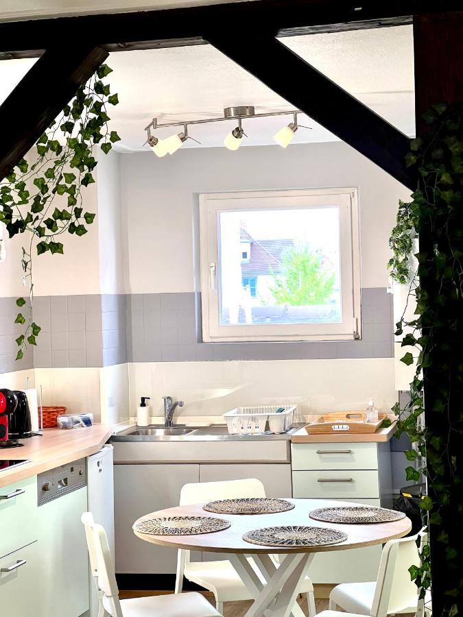 Seppala Charmant Appartement Колмар Екстериор снимка