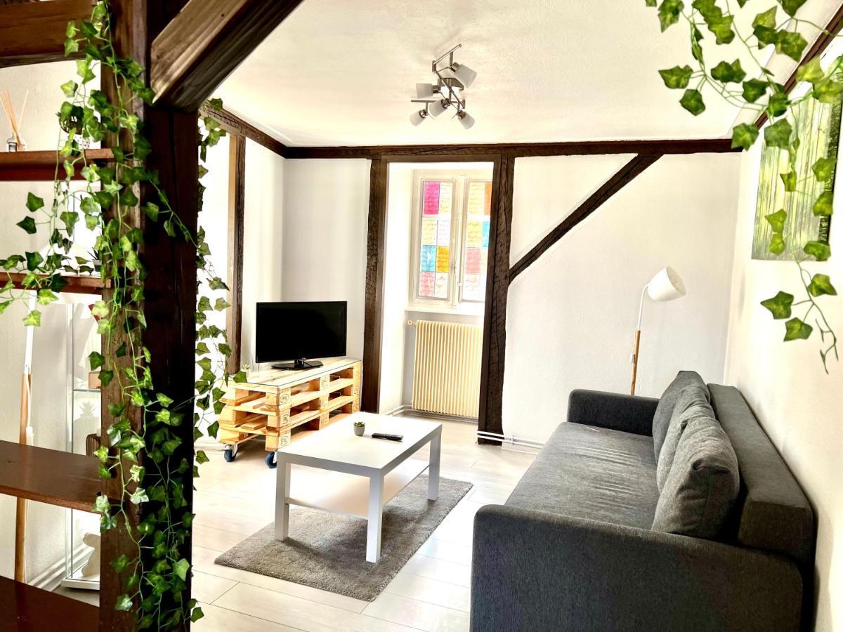 Seppala Charmant Appartement Колмар Екстериор снимка