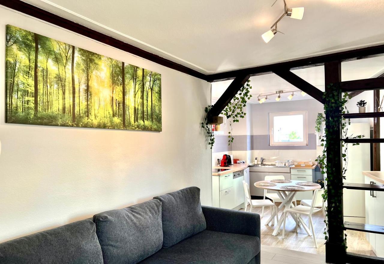 Seppala Charmant Appartement Колмар Екстериор снимка